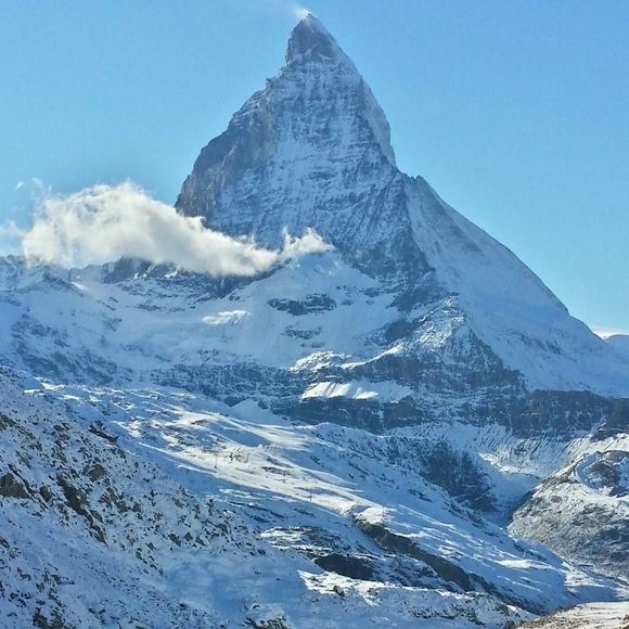 Meet your Posher, Paul - Picture 1 of 1